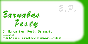 barnabas pesty business card