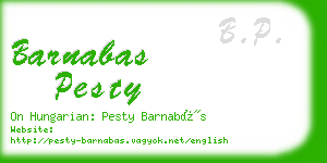 barnabas pesty business card